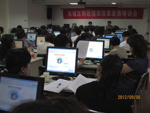 東城區(qū)召開財政國庫改革業(yè)務(wù)培訓會，推進社會經(jīng)濟咨詢服務(wù)